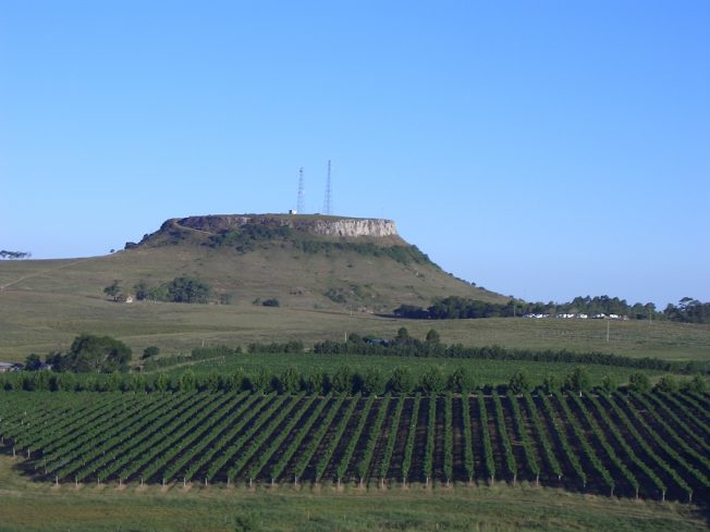 Paisagem com cerro e parreirais